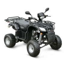 Mini EEC 150CC ATV